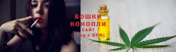 ГАЛЛЮЦИНОГЕННЫЕ ГРИБЫ Богданович